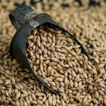 Malt Super