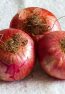 Onion-Flavour