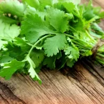 Coriander (Dhania) Powder Flavor