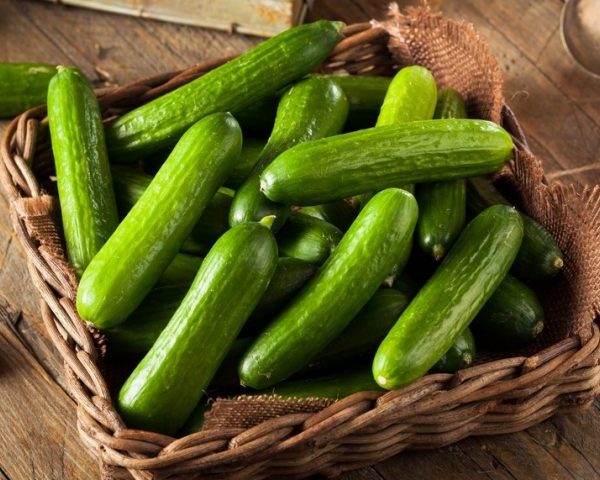 Cucumber (Kheera) Powder Flavor