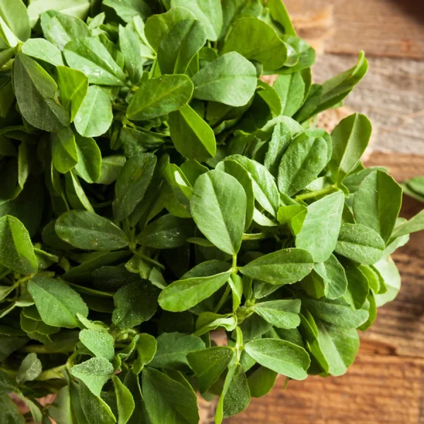 Methi – Powder Flavor