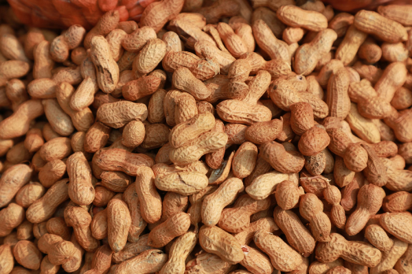 Peanut – Powder Flavor